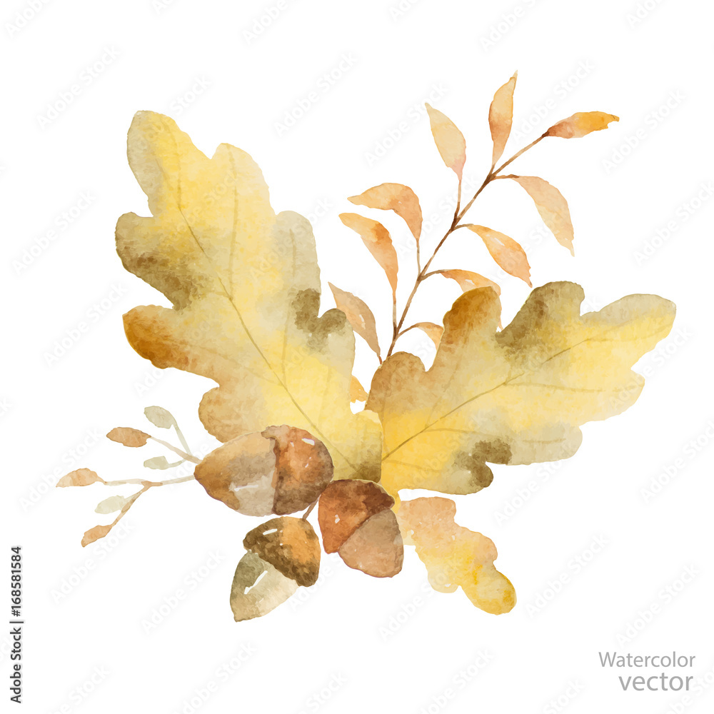 白色背景下分离的树枝和橡树叶的水彩矢量秋季花束。