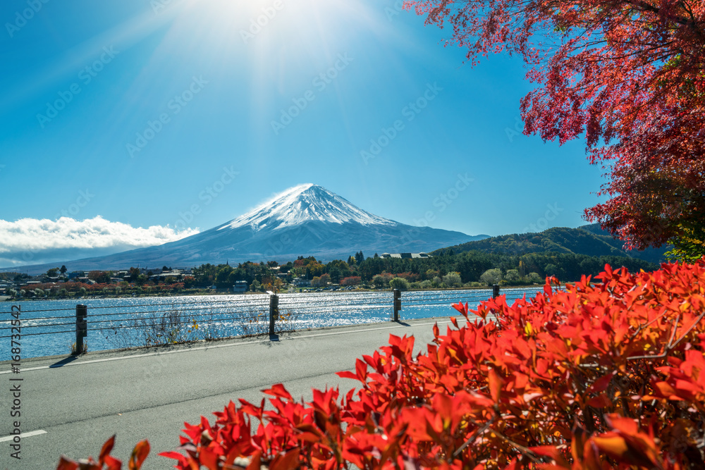 秋色富士山，日本