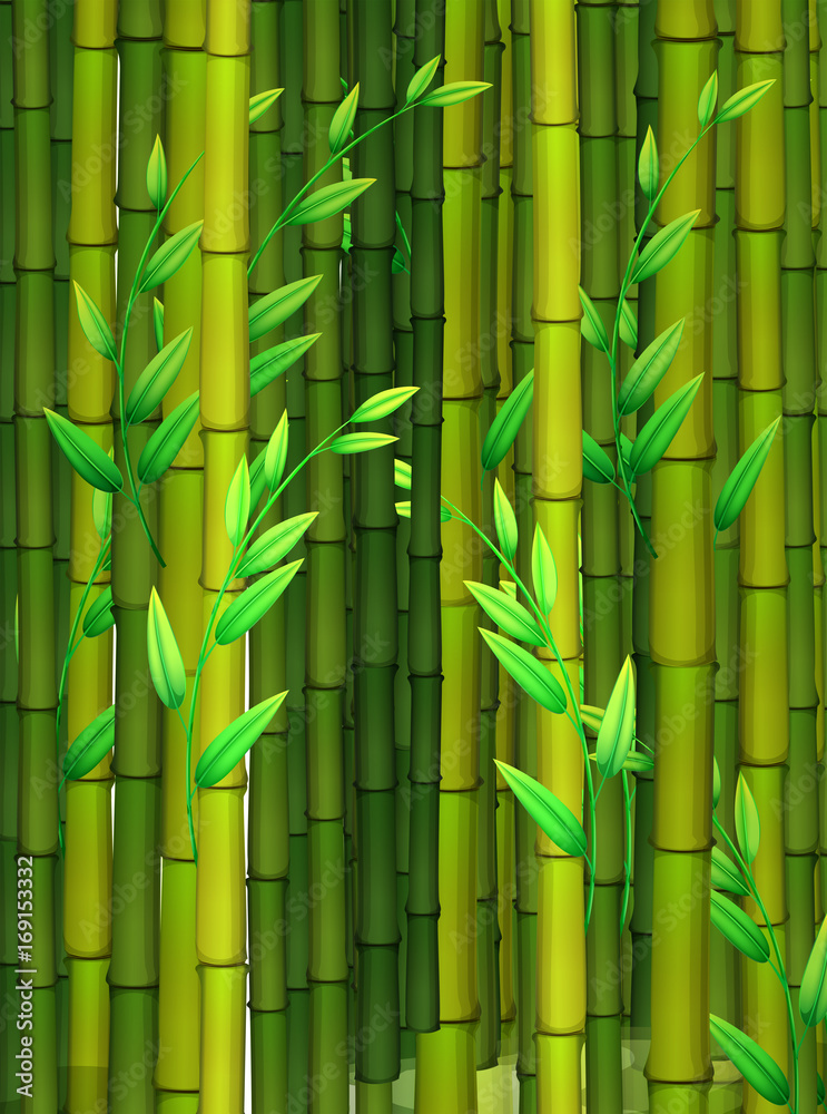 绿色竹子无缝背景