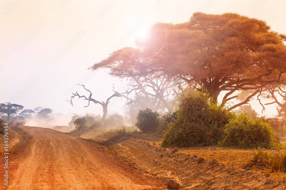 Dry African landscape with dirt road at sunset