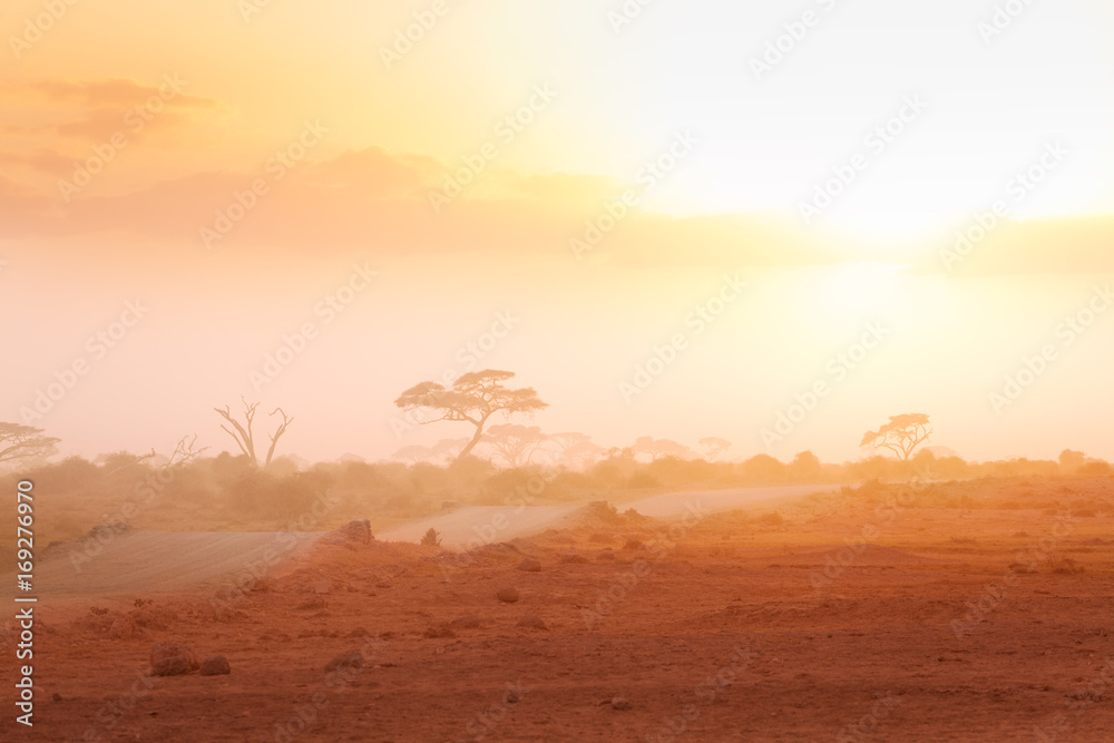 薄雾中穿过非洲大草原的道路