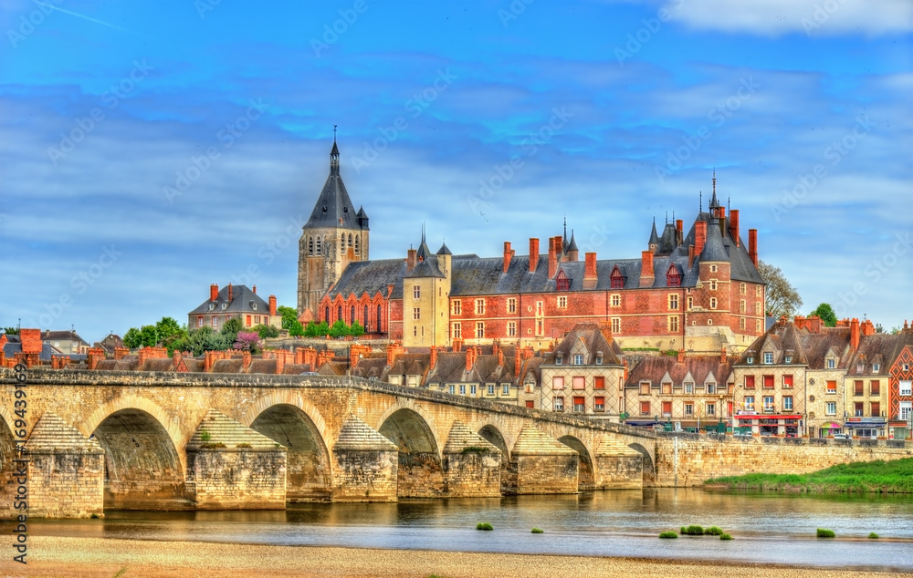 Gien与城堡和横跨卢瓦尔河的桥梁的景色-法国
