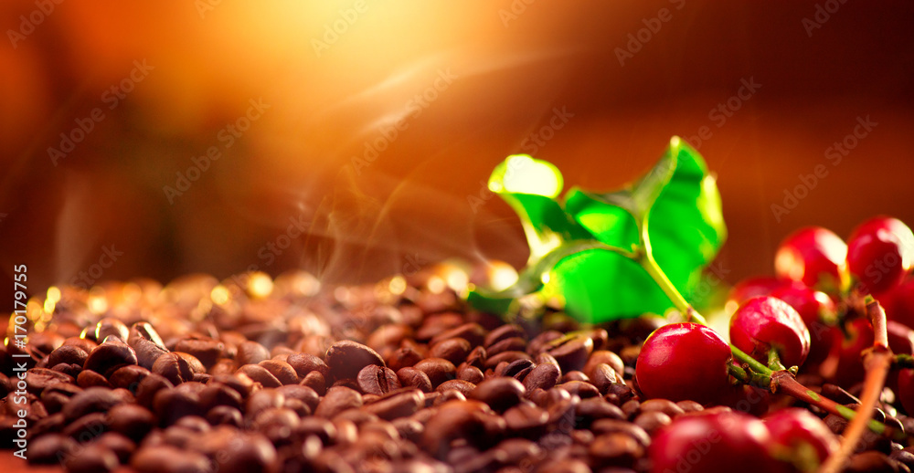 咖啡。烘焙咖啡背景上的真正咖啡植物。边界艺术设计