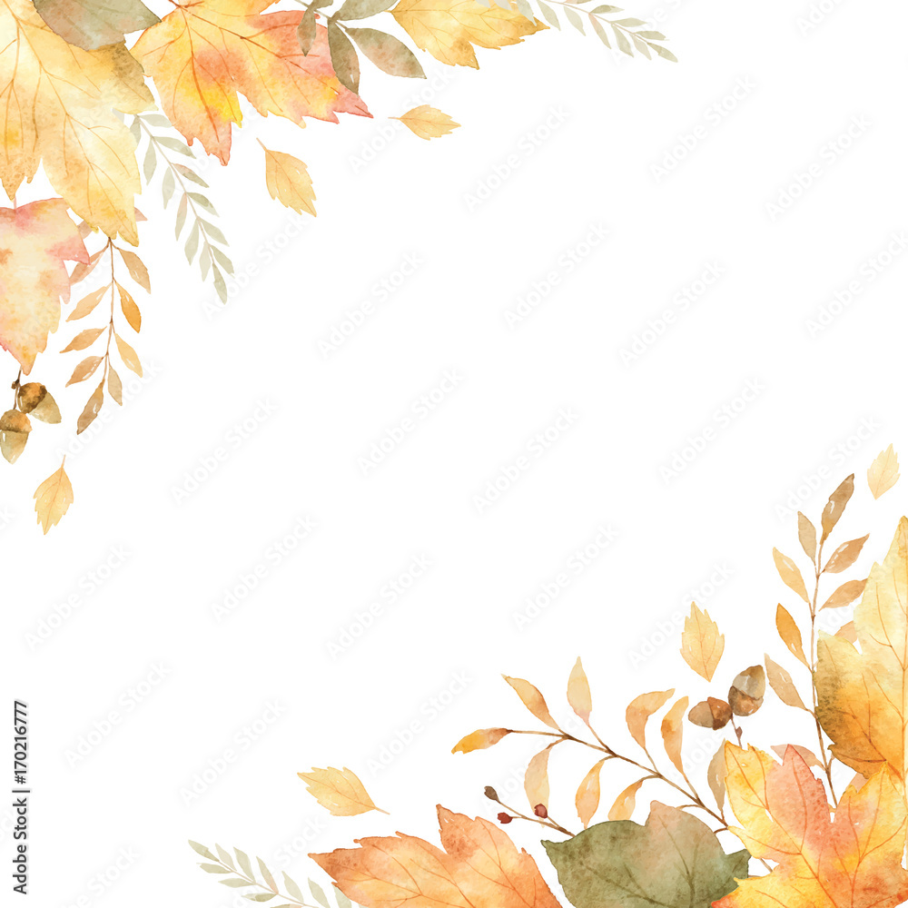 白色背景下分离的叶子和树枝的水彩矢量框架。