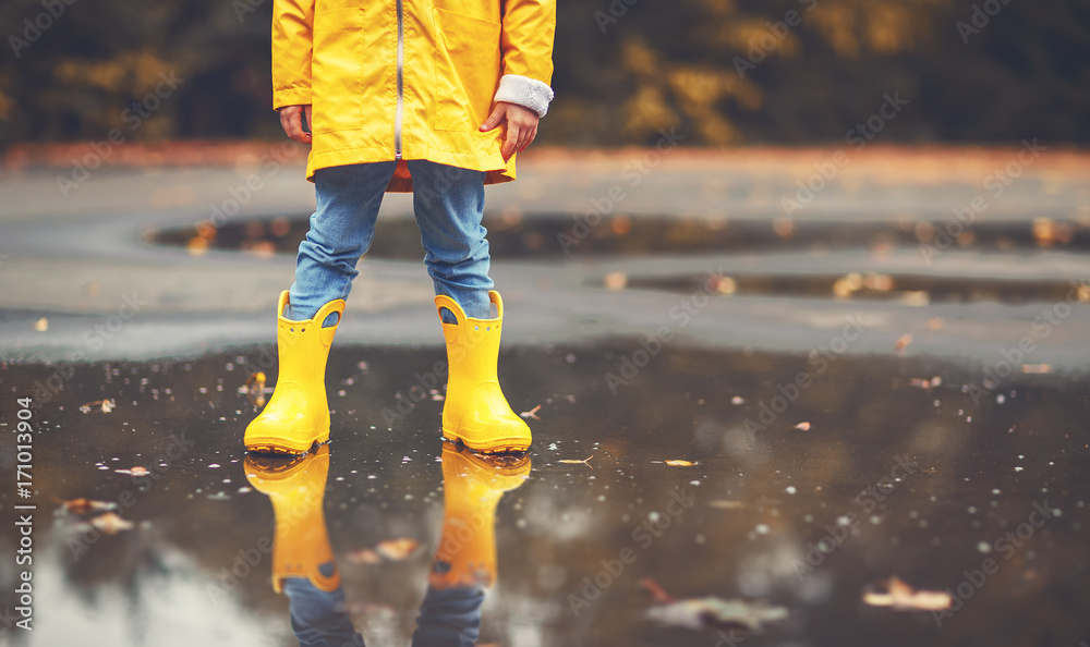 秋天水坑里穿着黄色橡胶靴的孩子的腿。