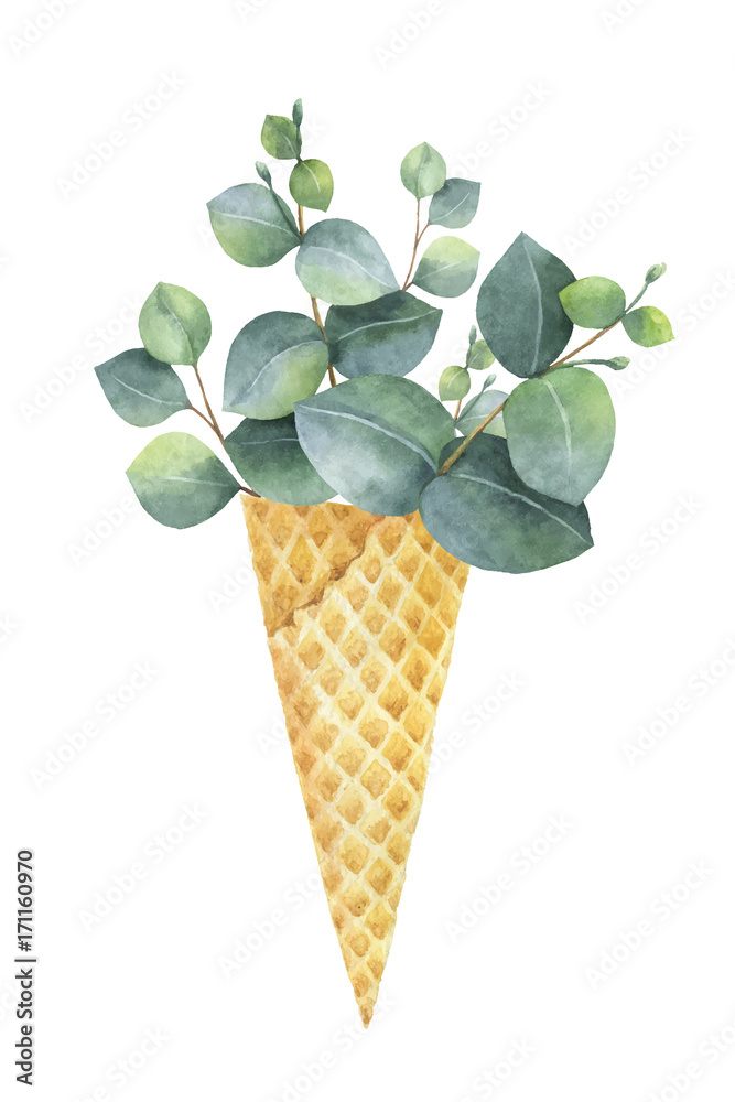 水彩画矢量创意手绘花束，用绿色桉树叶子做成华夫饼锥。
