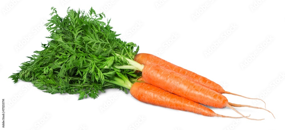 胡萝卜。