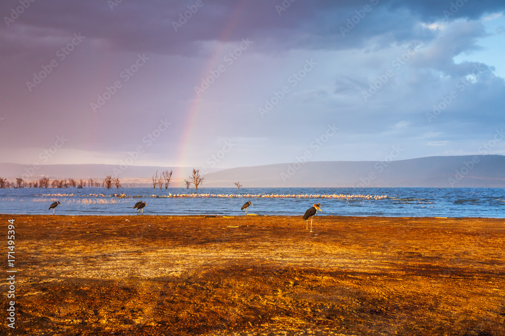 非洲湖面多云天空中的双彩虹