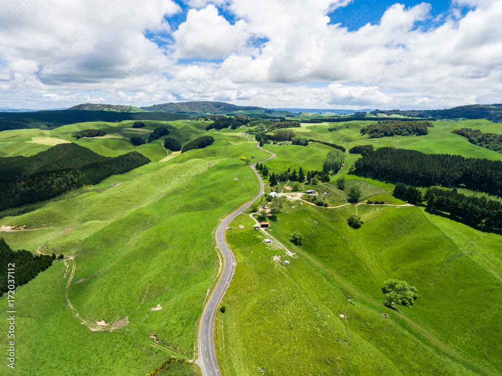 新西兰罗托鲁瓦起伏的山丘上的公路旅行。