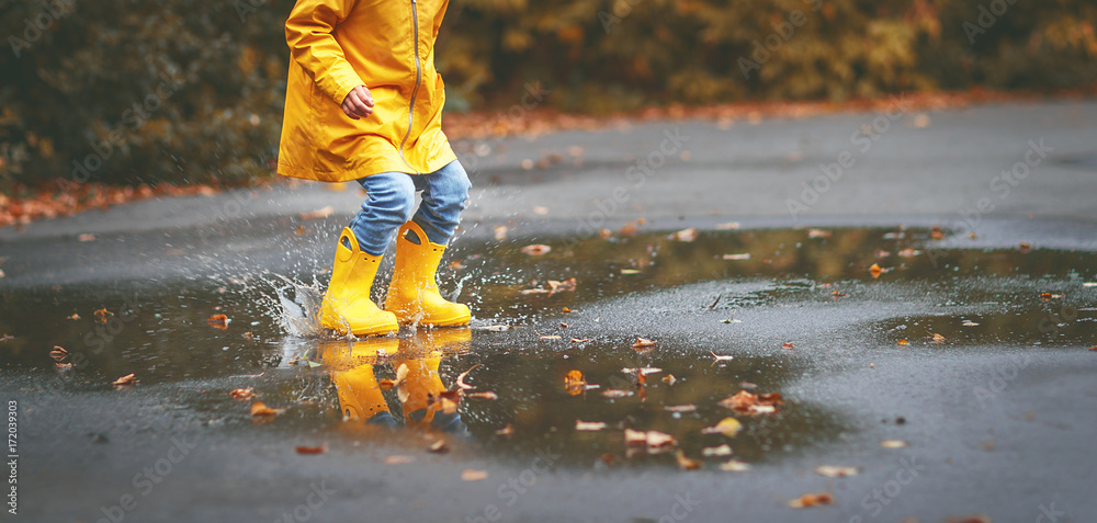 秋天水坑里穿着黄色橡胶靴的孩子的腿。