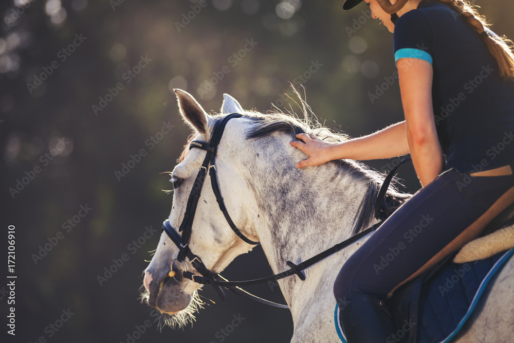 围场上骑马的女人，女骑手运动服