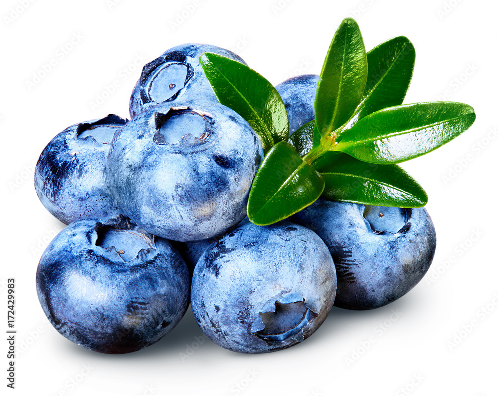 Ripe Blueberry isolated