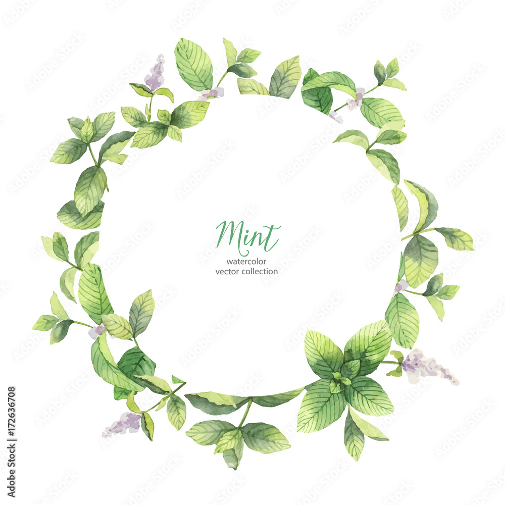 Watercolor vector frame of mint branches isolated on white background.