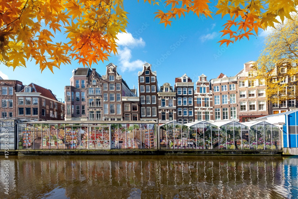 阿姆斯特丹街的秋季传统古老的荷兰彩色建筑和花卉市场