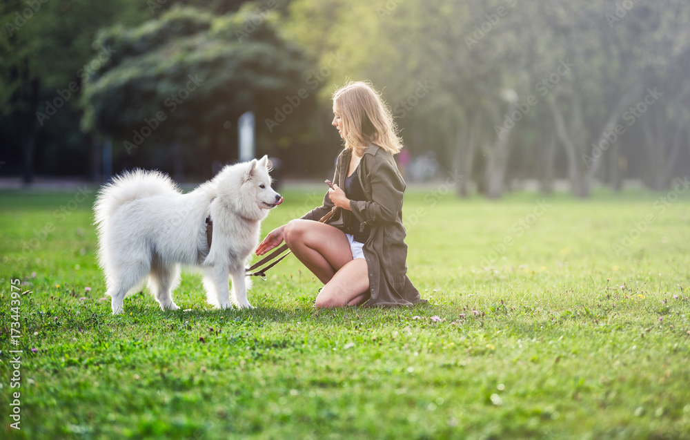 Pretty girl playing with samoyed dog during walk outdoor
