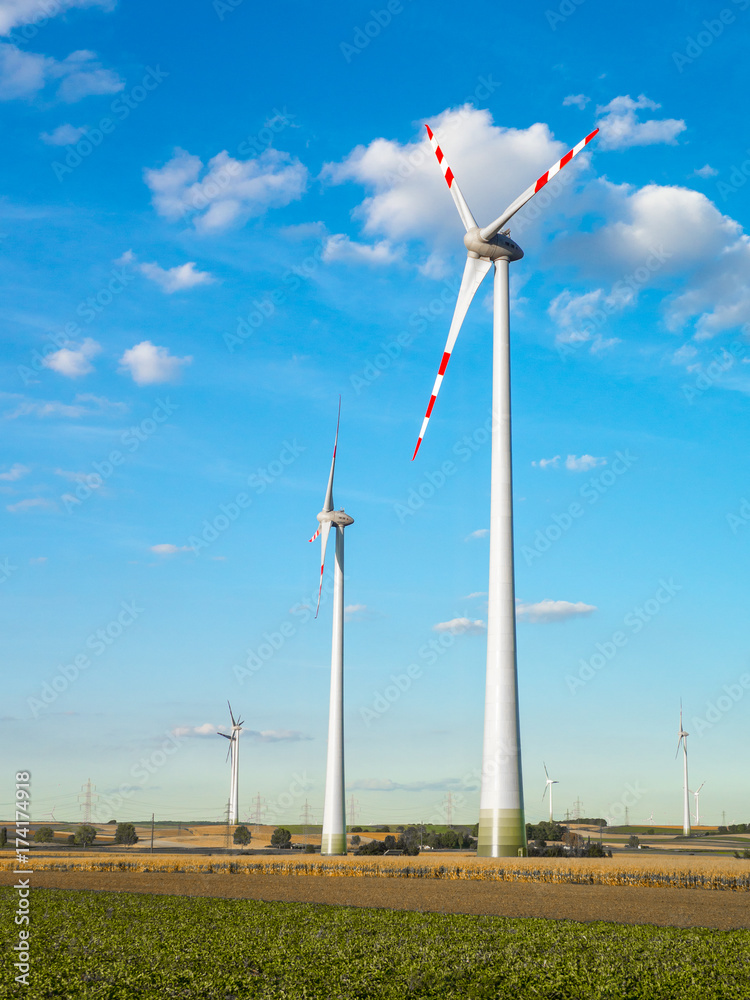绿地上的风力涡轮机，带风力涡轮机的景观