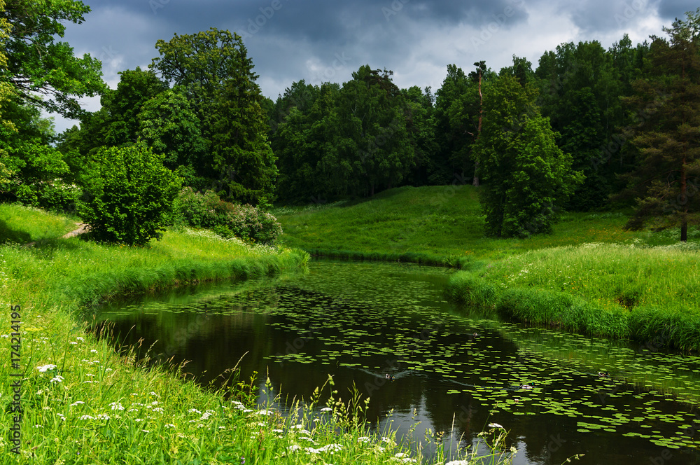 圣彼得堡巴甫洛夫斯克公园的夏季河流景观