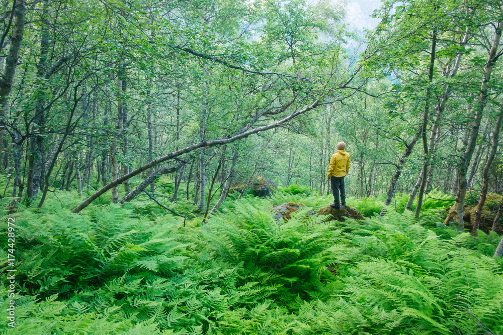 郁郁葱葱的挪威森林中的孤独游客
