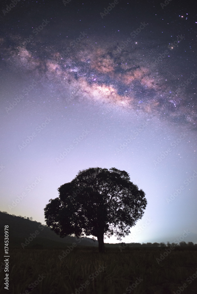 有银河和孤独的树的夜景，有明亮银河和星空的夜空。美丽