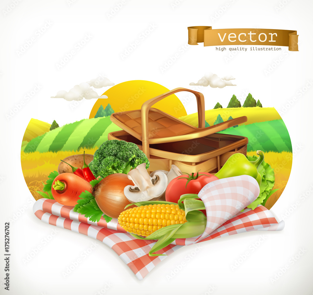农场和收获，现实的蔬菜。玉米，番茄，洋葱，胡椒，胡萝卜，生菜，欧芹。隔离