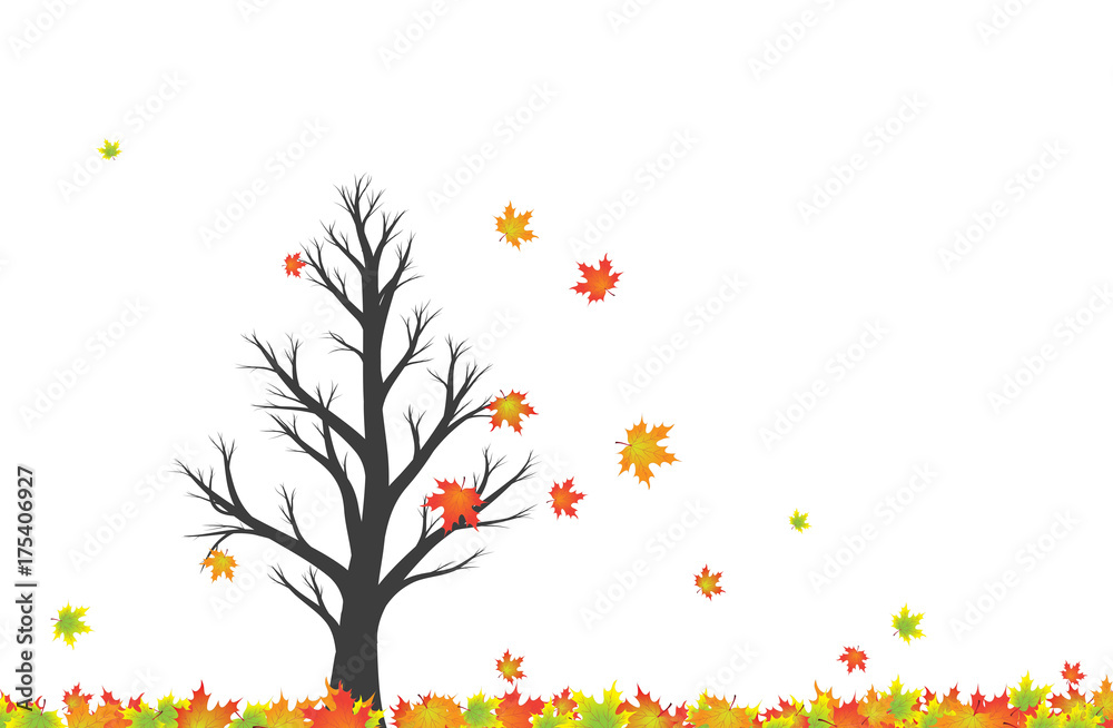 神奇的彩色秋季刮风树，白色复制空间背景。插图。