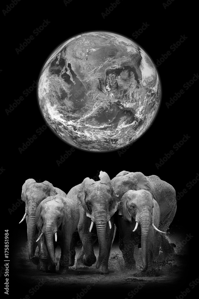 地球背景上的大象。这张图片的元素由美国国家航空航天局提供