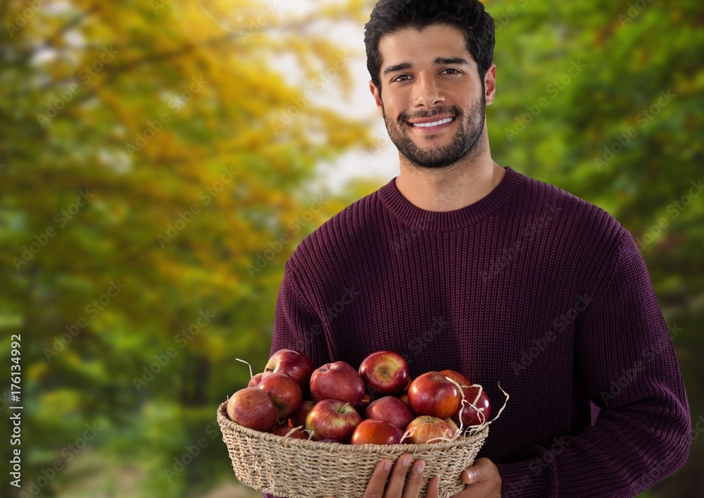 秋天的男人在森林里拿着一篮子苹果