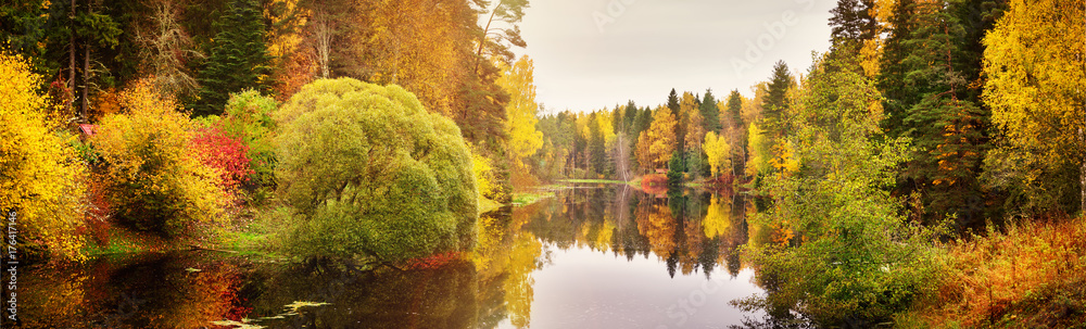 湖面岸边有五颜六色叶子的树木