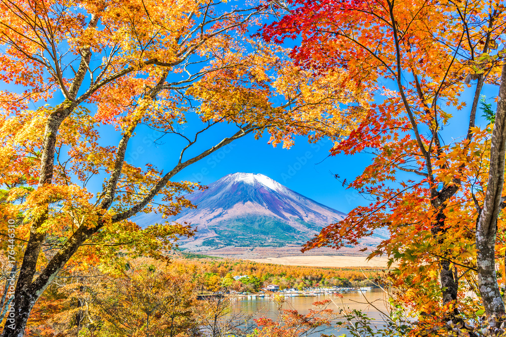 秋天的日本富士山，来自山中湖。