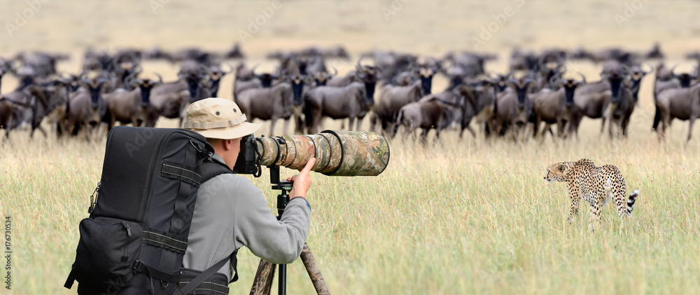 Professional wildlife photographer