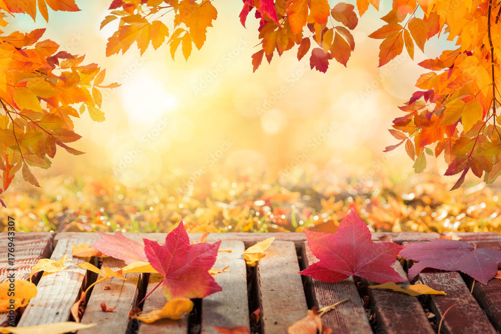 艳阳天背景下五颜六色的秋叶，木桌，落叶