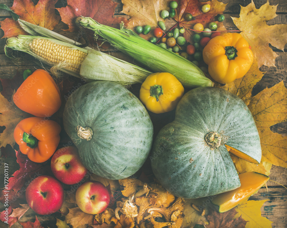 木桌背景下的秋季蔬菜分类，俯视图。秋季食品配料背景