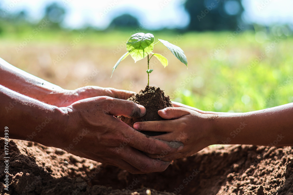 父亲和孩子们帮助植树，以帮助减少全球变暖。
