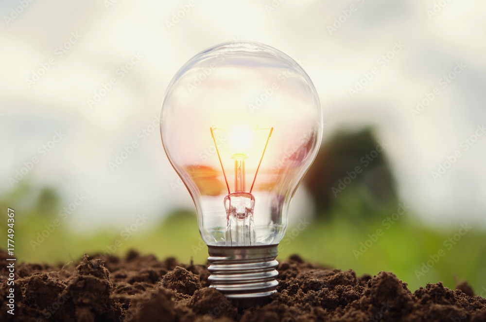 生长在土壤中的灯泡概念理念大自然中的能量