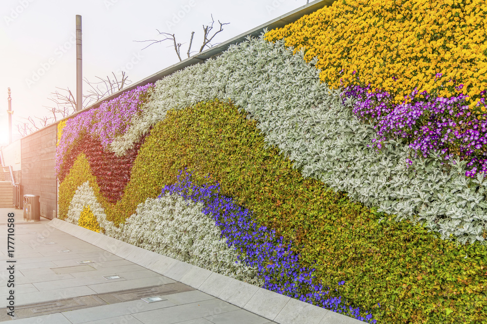 花卉植物背景墙