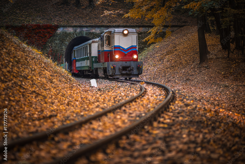 Budapest, Hungary - Beautiful autumn forest with foliage and old colorful train coming out of tunnel