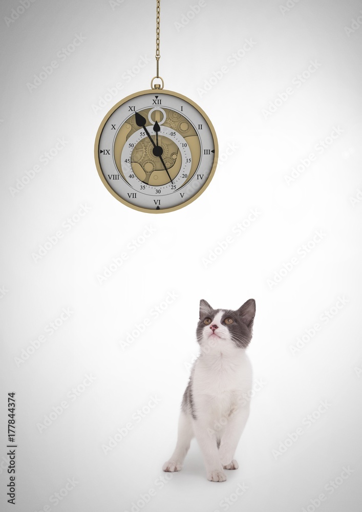 挂着猫看时钟