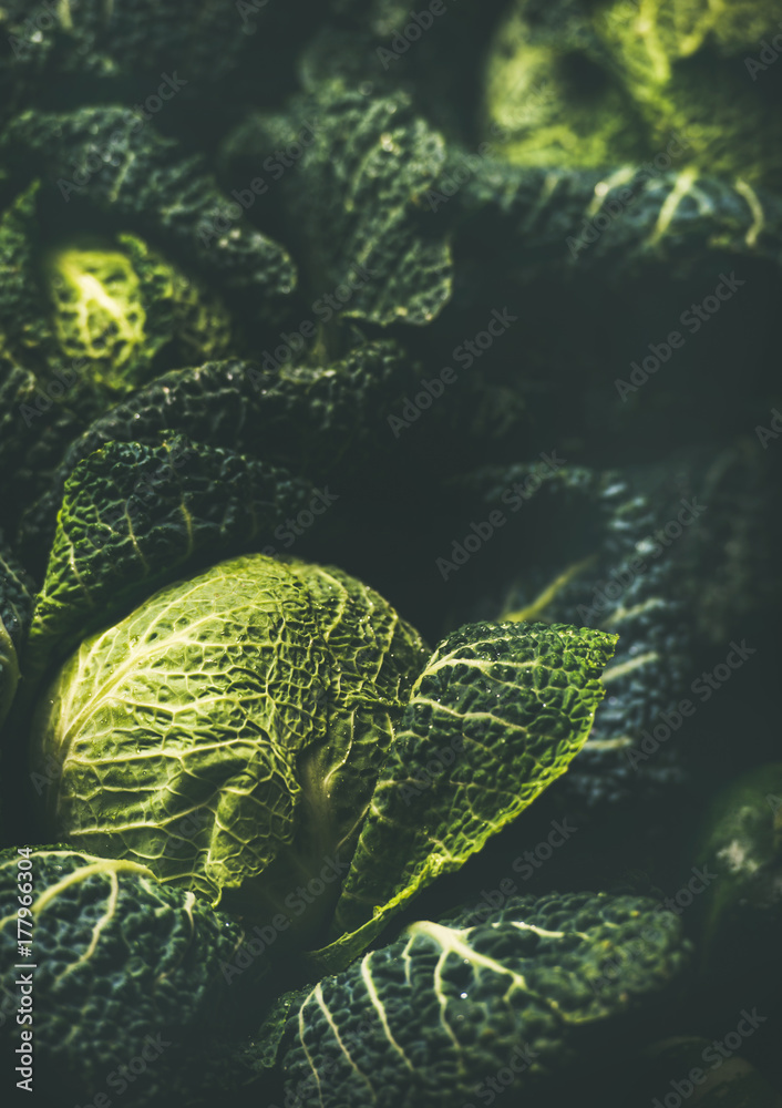 生的新鲜绿卷心菜质地和背景，深色背景，选择性聚焦，垂直复合