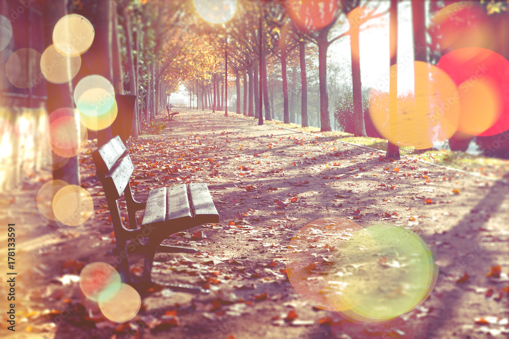 抽象的秋季背景。橙色色调的秋季公园长椅