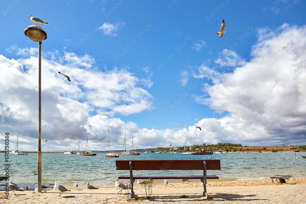 木凳和海鸥