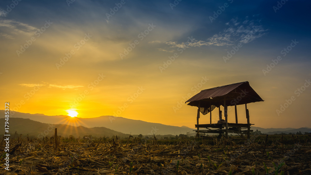 泰国乡村农业花园上的农民小屋，阳光照耀着日落