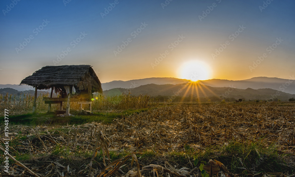泰国乡村农业花园上的农民小屋，阳光照耀日落