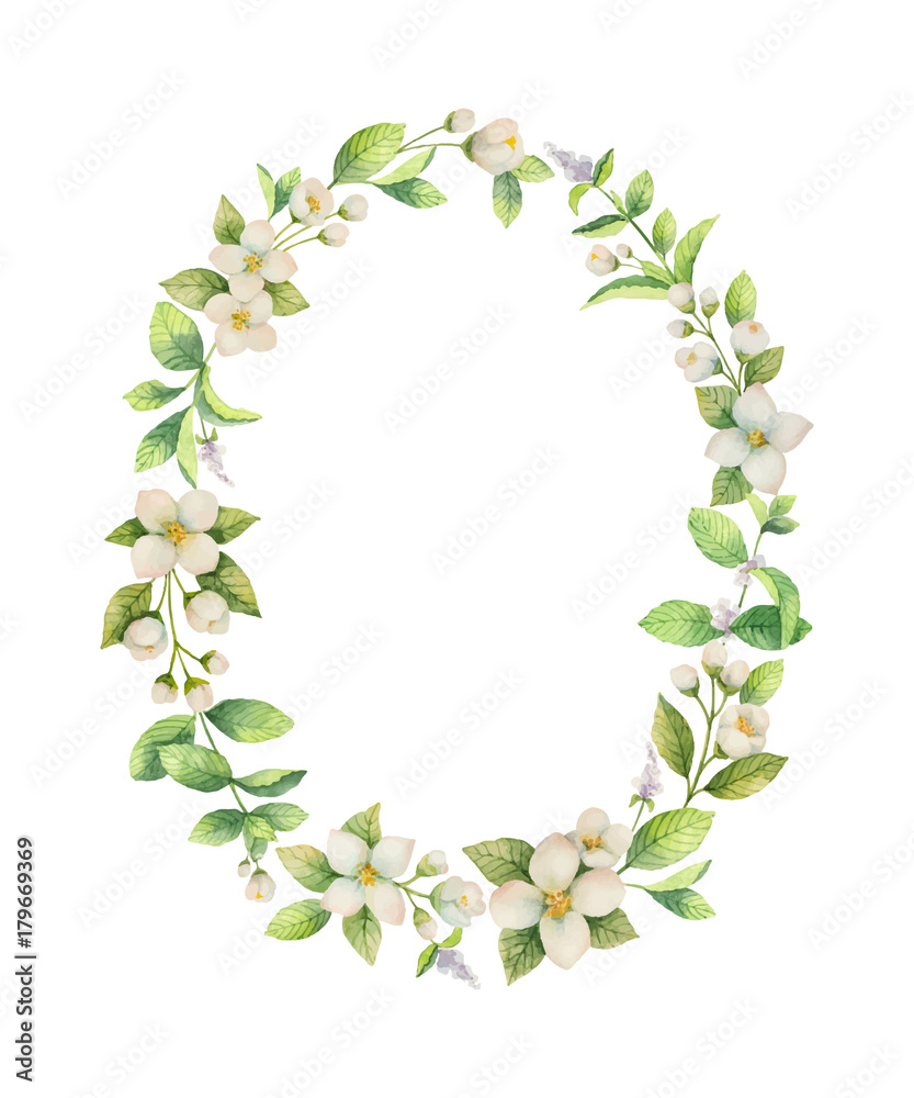 白色背景上隔离的花朵和树枝茉莉的水彩矢量框架。