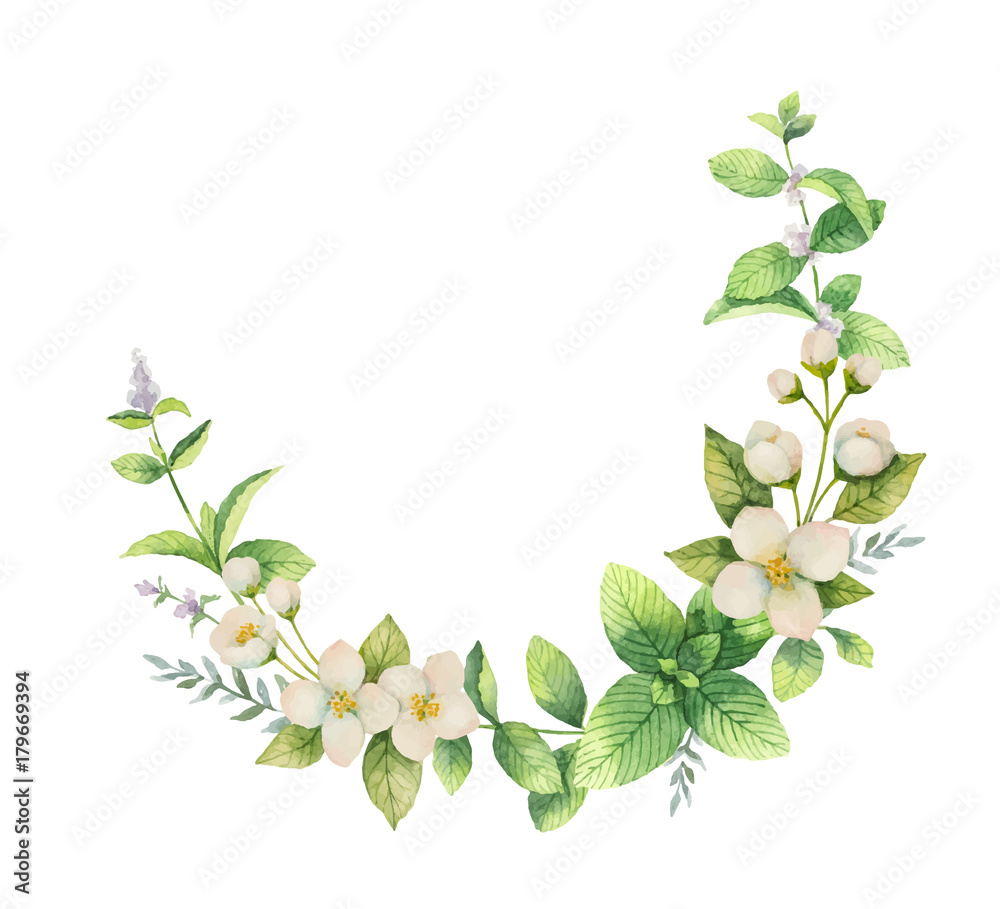 白色背景上的花朵和树枝的水彩矢量花环茉莉花。