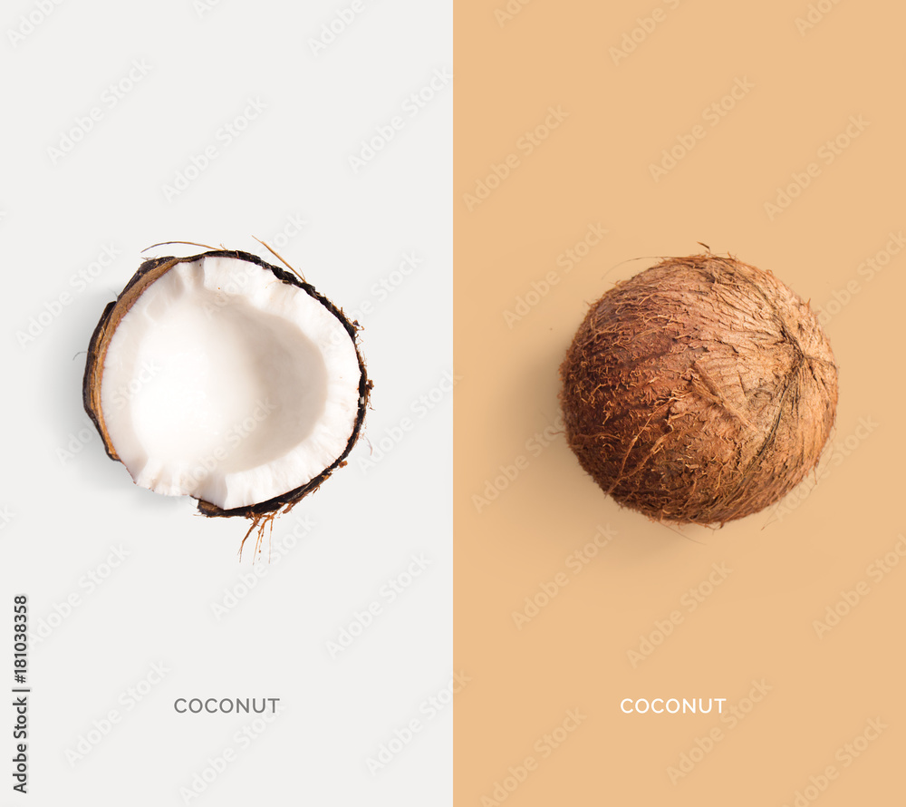 椰子创意布局。平面布局。食品概念。宏观概念。