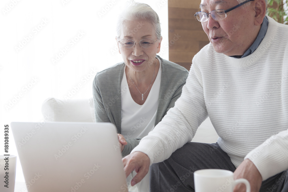 一对老年夫妇正在练习个人电脑