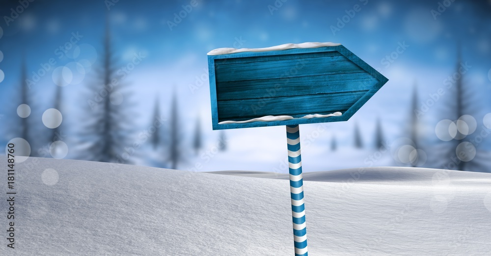 Wooden signpost in Christmas Winter landscape