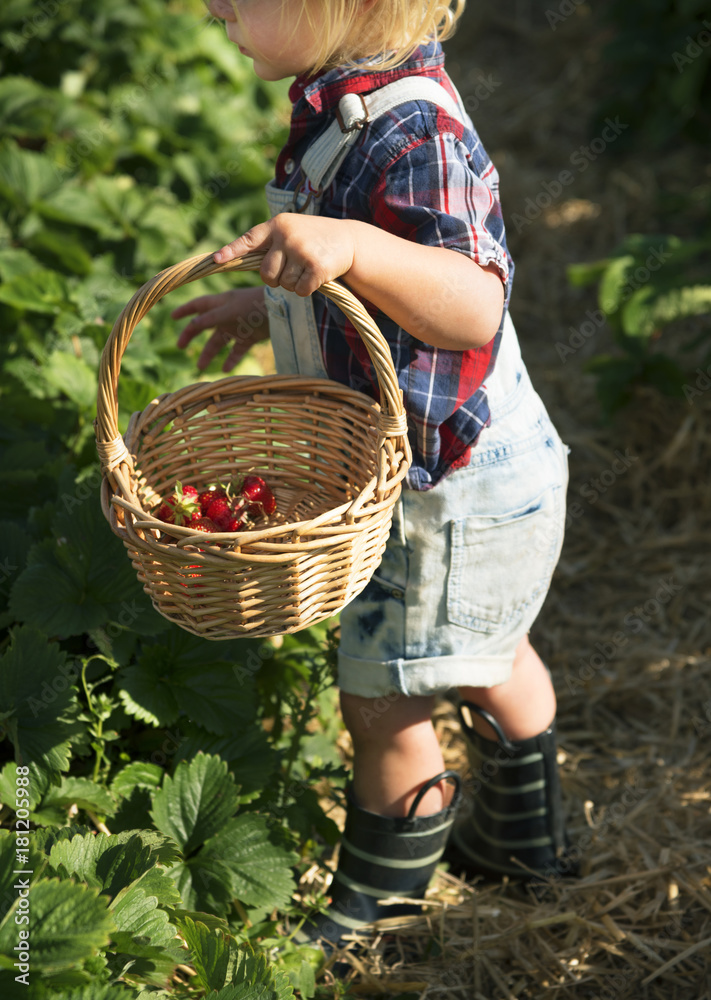 草莓农场的孩子