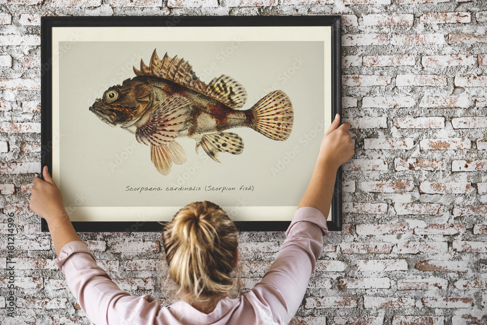 在框架中手绘鱼的照片
