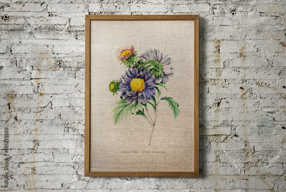 画框中的手绘花卉收藏